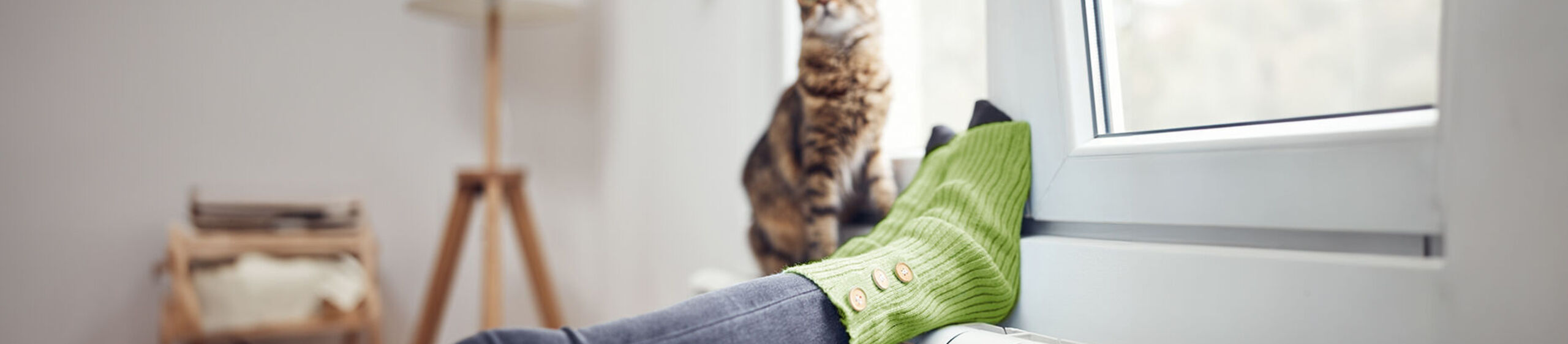 Füße mit grünen Socken liegen auf einer Heizung. Auf dieser sitzt eine Katze.